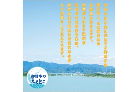 【0943-4】紀州南高梅味よし（かつお梅）1100g　家庭用（B級、C級）