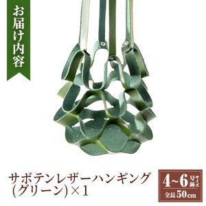 i619 サボテンレザーハンギング(グリーン・植物なし)地球環境や動物に配慮した素材で作られたプラントハンガー！プラントハンガー 吊り下げ 観葉植物 エアプランツ 地球環境 グリーン インテリア 癒しの空間 植物ホルダー おしゃれ空間 ギフト 贈り物【kurk PLANT LEATHER】