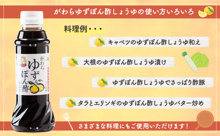 大河原町観光物産協会 特産品Aセット ドレッシング 調味料 ポン酢 柚子 梅 シロップ 果実 グッズ 詰め合わせ 町のおすすめ返礼品 