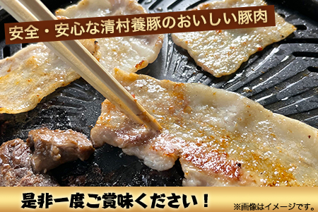 ワイルド塊BBQセット 計1450g 清村養豚 