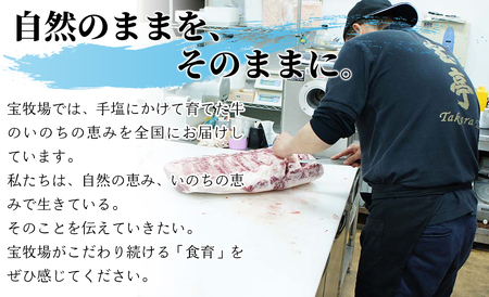 【M-361】宝牧場直営　宝亭本店　レストラン・精肉店　ご利用券 15,000円分［高島屋選定品］