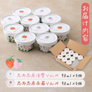 a5-218 いちご農家がつくった淡雪と赤苺のソルベ 計10個(2種・各5個入)