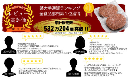 FM031_【最長半年待ちの大人気】佐賀牛入り熟成ハンバーグ18個＋2個