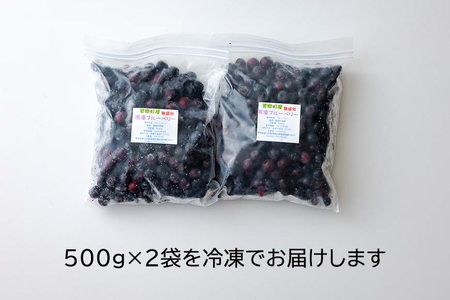 ブルーベリー 冷凍 500g × 2袋 1kg [春夏秋冬いっつもや 宮崎県 美郷町 31ab0135]