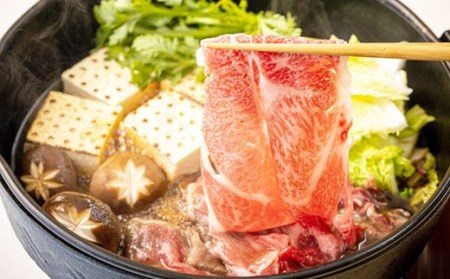 宮崎牛赤身スライス（ウデまたはモモ）400g＆黒毛和牛小間切れ100g　TF0544-P00043
