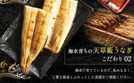 【ミシュラン1つ星店 採用】うなぎ 国産 紅白3-4尾セット600g 海水育ちの天草藍うなぎ