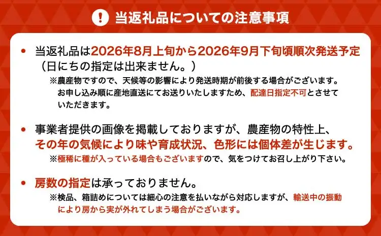 【先行予約】 シャインマスカット 恋するシャインマスカット シャイン マスカット ぶどう 葡萄 種無し 種なし たねなし 2房 合計約800g ギフト 国産 九州産 熊本県産 宇城市産 御舩果樹園【2026年8月上旬～9月下旬頃順次発送予定】