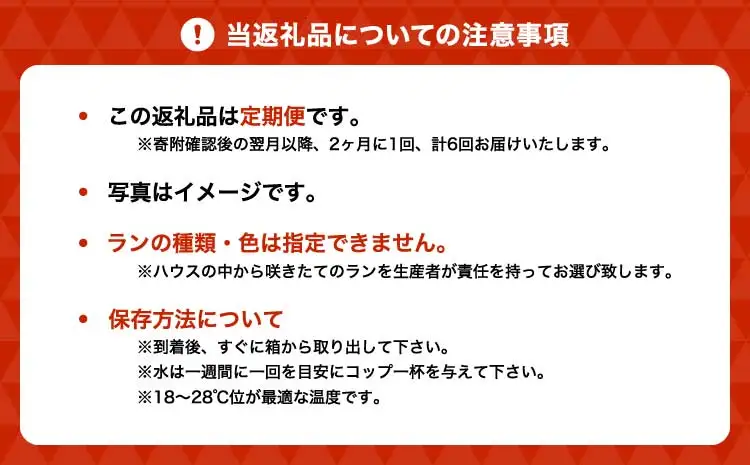 定期便 胡蝶蘭 【定期便6回】2ヶ月に1回 熊本県産 ミディ胡蝶蘭 【定期便6回】ミディ胡蝶蘭の定期便（2ヶ月に1回）