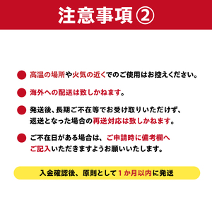 ステンレスハンガー「gooper（グーパー）」【0007-014】岐阜県 可児市 ステンレス アイデア 便利 簡単 耐久性 新生活 洗濯 家事 純日本製 国産 シンプル  生活雑貨 丈夫 長持ち 強風対策 洗濯グッズ 超軽量 職人