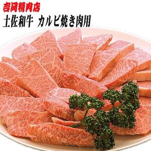 土佐和牛カルビ (焼肉用) 約500g 【グレイジア株式会社】 [ATAC023]
