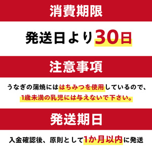 「マヨ唐チキン」と「炭かおる地焼き　うなぎ蒲焼（たれ付）」のセット【0021-013】岐阜県 可児市 うなぎ 丑の日 チキン 唐揚げ 蒲焼 炭火焼 魚介 加工
