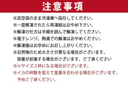 『先行予約』唐津呼子産いか活造り 1杯(約220g～250g) 急速冷凍 新鮮そのまま食卓へ！イカ 刺身 簡単 ギフト ※水揚げあり次第6月以降順次発送させていただきます。