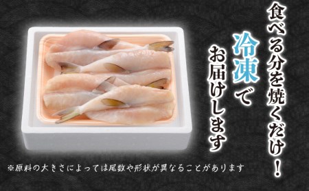 ふぐ 一夜干し 250g ふぐ FG