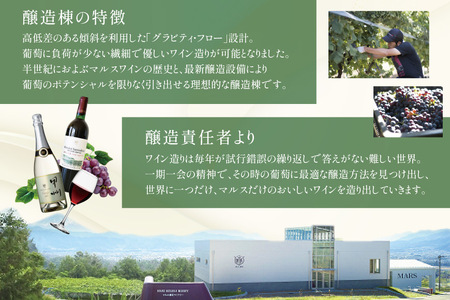 ワイン 赤 スパークリング おまかせ マルスワイン2本セット ～冬の陣～ /本坊酒造 マルス穂坂ワイナリー / 山梨県 韮崎市 [20742335] 