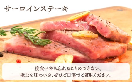 【全6回定期便】おふたりさま向け 佐賀牛ロース HBH079 ロース 佐賀牛 定期便