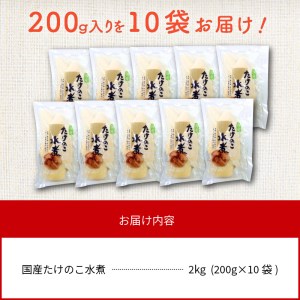 たけのこ水煮 200g×10袋 計2kg 国産  小分け パック 簡単調理 常温 グルメ 食品 食べ物 野菜 山の幸 山菜 株式会社大久保商店 宮崎県 延岡市 お取り寄せ 送料無料 N067-YA766