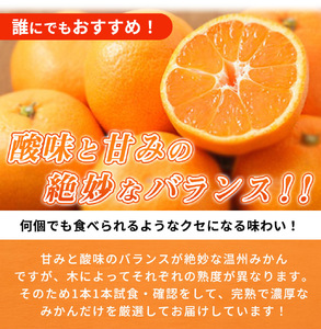 G7042_【2026年11月下旬より発送】紀州 有田産 濃厚甘熟 温州みかん 3kg 赤秀品【ミカン 蜜柑 柑橘 温州みかん 有田みかん 和歌山】