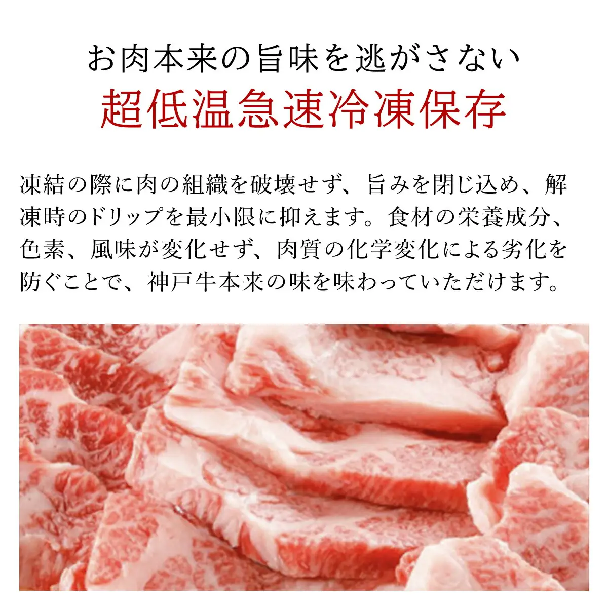 神戸牛カルビ焼肉用【500g】タレ付（醤油タレ、味噌タレ） AS14EC1