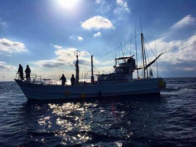 【マグロキャストチャーター】第八大洋丸 1日チャーター券(大人6名迄)　/まぐろ 鮪 【tym100】