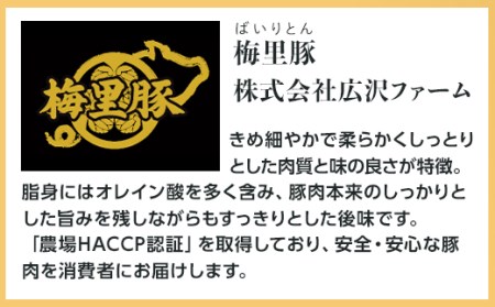 262【茨城町ブランド認証品「梅里豚」使用】特製ソーセージセット