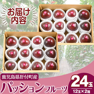 【A68002】期間限定 鹿児島県産 パッションフルーツ 約2.2kg 12玉入り2箱【丸山果樹園】