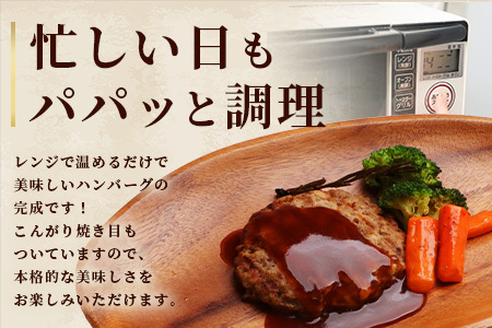 ジビエ肉入りハンバーグ 1.5kg（生100g×5・焼100g×5・生特大500g×1）021-0438