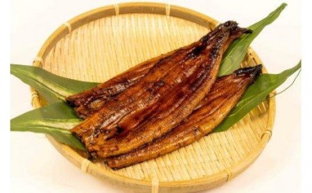 鰻 蒲焼 4尾 沼津 うなぎ 鰻