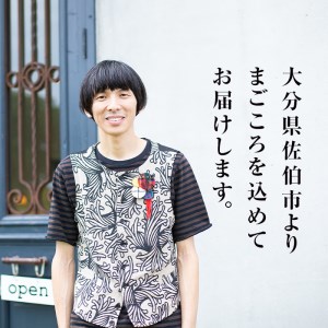 ＜定期便・全3回 (連続)＞コーヒー ドリップバッグ (総量30個・10個×3回) レギュラーコーヒー 珈琲 直火焙煎 深煎り インドネシア マンデリン ネルドリップ 喫茶店 カフェ 大分県 佐伯市 【GJ002】【coffee5】