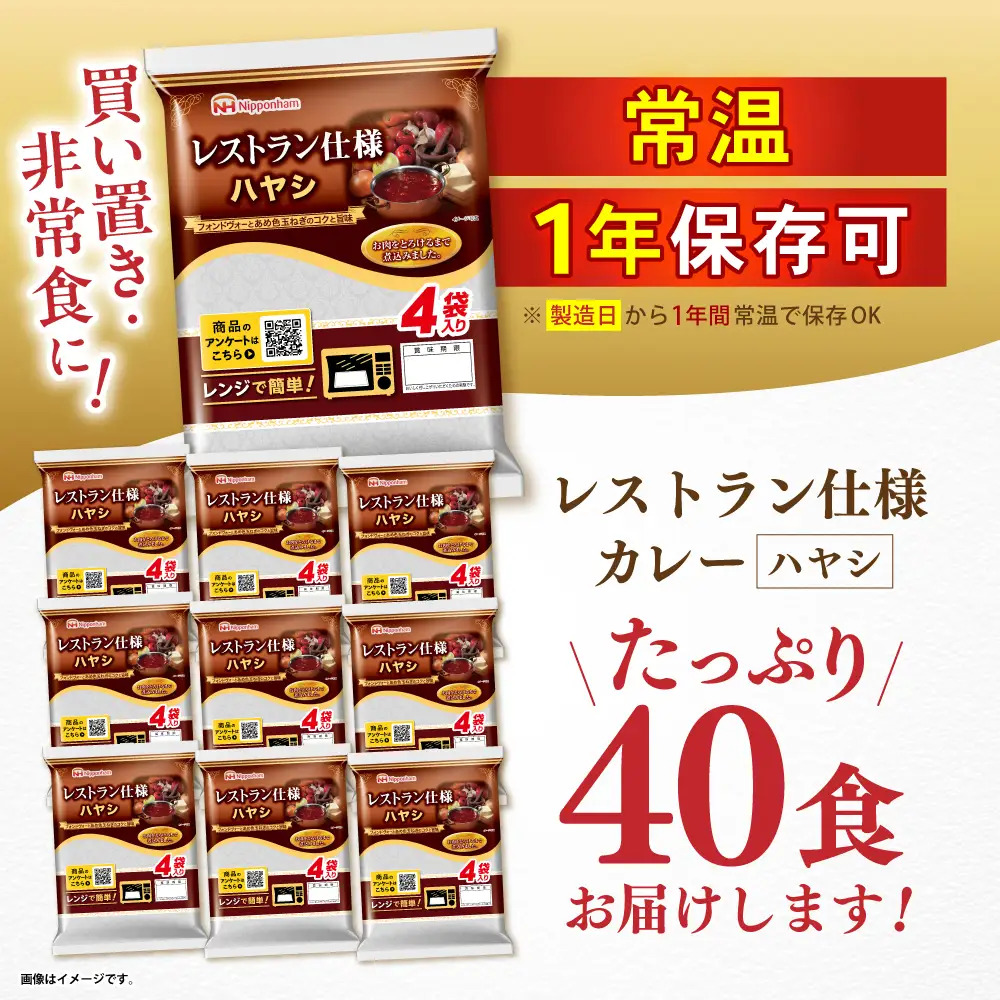 【小分け】【内袋のままレンジ調理可】日本ハム レストラン仕様ハヤシ10パックセット(1パック4袋入り)計40食分/ ハヤシ ハヤシライス カレー かれー レトルト 牛肉 小分け 長崎県 / 諫早市 / 日本ハムマーケティング株式会社 [AHAL005]