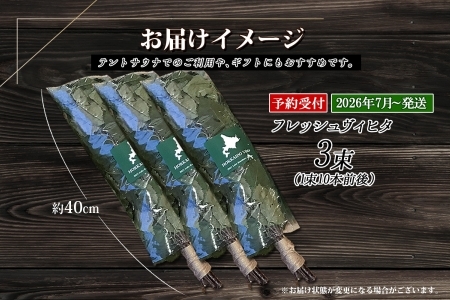 2026年 7月以降順次発送 1511. フレッシュ 白樺 ヴィヒタ 3束 北海道 白樺 ヴィヒタ アロマ ウィスク インテリア サウナグッズ サウナ テントサウナ 北海道 弟子屈町 30000円