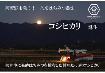 【令和7年産】【環境大臣賞受賞】【特別賞受賞】無洗米 コシヒカリ 10kg 農家直送 ほんのり甘い「はちみつ農法」 白米 精米 HACHIBEI 八米  1L08025