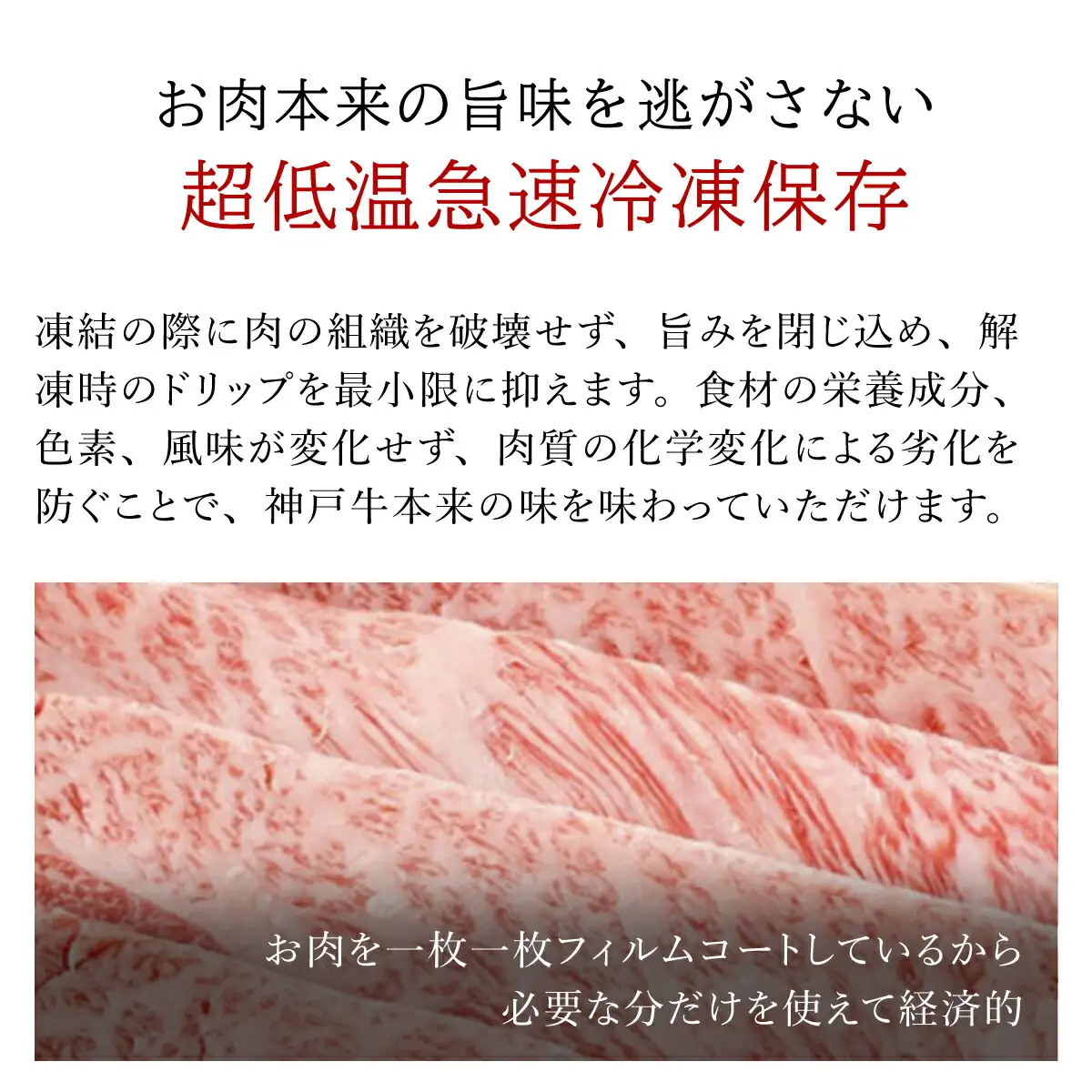 神戸牛しゃぶしゃぶ･すき焼肉 特選肩ロース【500g】タレ付（ぽん酢、胡麻タレ、わりした） AS14G3