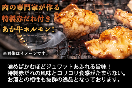 熊本県産 あか牛 焼肉 ホルモン 900g 肉のみやべ《120日以内に出荷予定(土日祝除く)》