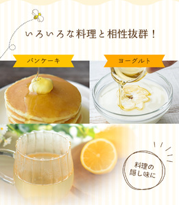 ハチミツ 南紀熊野蜜 1kg（500g×2個） / 古座川流域で採取 南紀熊野蜜D 希少 はちみつ ミツバチ 【tkd203】