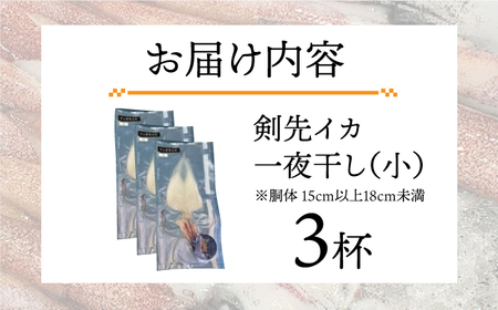 剣先イカ 一夜干 （小） 3杯 《壱岐市》【株式会社マルショウ】 いか  剣先いか セット おつまみ 一夜干し [JEW005] 14000 14000円 のし ギフト
