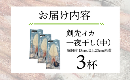 剣先イカ 一夜干 （中） 3杯 《壱岐市》【株式会社マルショウ】 いか 剣先いか セット おつまみ 一夜干し [JEW006] 17000 17000円 のし ギフト
