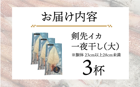 剣先イカ 一夜干 （大） 3杯 《壱岐市》【株式会社マルショウ】 いか 剣先いか セット おつまみ 一夜干し [JEW007] 20000 20000円 のし ギフト
