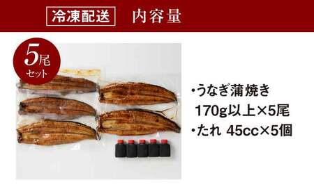 宮崎県産うなぎ蒲焼き 5尾セット_K10_0011_3