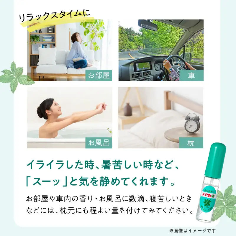 ハッカ油 ボトル 250mlとハッカ油 スプレー 2本 セット ( はっか 薄荷 ミント ハッカ 爽快 )【007-0046】