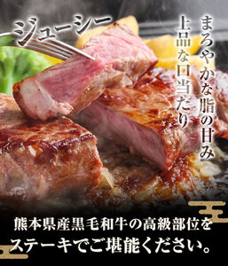 サーロイン ロース ステーキ 合計400g 200g×2枚 ブラックペッパー付 有限会社中田精肉店舗 《45日以内に出荷予定(土日祝除く)》 熊本県 菊池市 サーロイン ロース ステーキ お肉 和牛 黒毛和牛 熊本県産 九州産 国産
