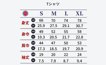 揖斐川町 マンホールTシャツ 黒 ファッション 服 男性 メンズ 女性 レディース お城 星空 花 土星  Sサイズ