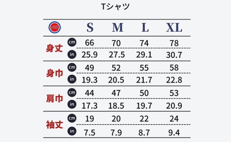 揖斐川町 マンホールTシャツ 白 ファッション 服 男性 メンズ 女性 レディース お城 星空 花 土星  XLサイズ