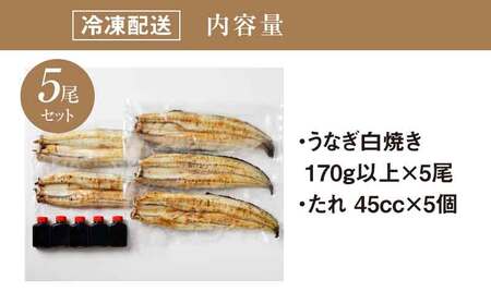 宮崎県産うなぎ白焼き 5尾セット_K10_0012_3