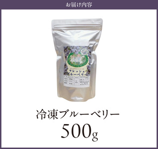 福岡県産 冷凍ブルーベリー 500g_ブルーベリー 冷凍 500g 1パック 福岡県産 果物 フルーツ 冷凍フルーツ デザート おやつ 冷凍食品 食品  お取り寄せ お取り寄せフルーツ 美味しい 九州 国産 トッピング アレンジ ヨーグルト シャーベット アイスクリーム スムージー 久留米市 送料無料 〔Fx010〕