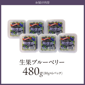 福岡県産 ブルーベリー生果 480g_福岡県産 生果 ブルーベリー 80g × 6パック 計 480g 耳納連山 麓 筑後川 恵み 国産 果物 フルーツ 新鮮 冷蔵 冷凍保存可 デザート グルメ お取り寄せ お取り寄せグルメ 九州 福岡県 久留米市 送料無料 〔Fx009〕