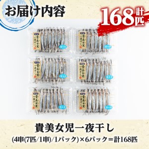 貴美女児一夜干し(計168匹・28匹×6パック)国産 干物 ひもの キビナゴ きびなご 魚介 乾物 おつまみ おかず【マルフク川畑水産】akn029-11