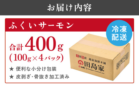ふくいサーモン 400g (刺身用)　真空冷凍　100g × 4パック 【サーモン 鮭 刺身 さけ サケ さかな 魚 人気 海鮮 海鮮食品 小分け お刺身用 生食用 生食可 低脂肪 低カロリー ヘルシー 冷凍 国産】[A-6232]