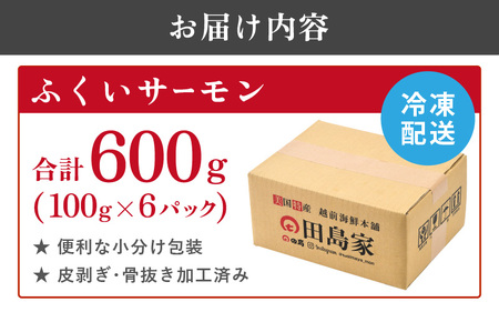 ふくいサーモン合計 600g（刺身用）100g× 6パック 真空冷凍【サーモン 鮭 刺身 さけ サケ さかな 魚 人気 海鮮 海鮮食品 小分け お刺身用 生食用 生食可 低脂肪 低カロリー ヘルシー 冷凍 国産】 [B-6209]