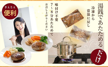 66-10美味極上 料亭ハンバーグステーキセット
