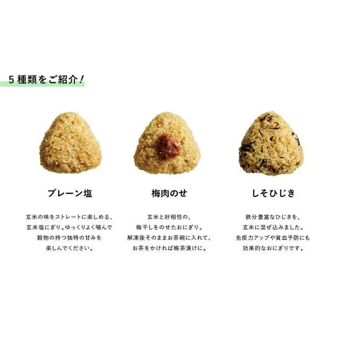 冷凍玄米おにぎり詰め合わせ（10個セット）